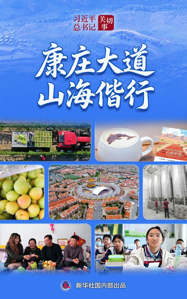 深度赛事解读 - 开云